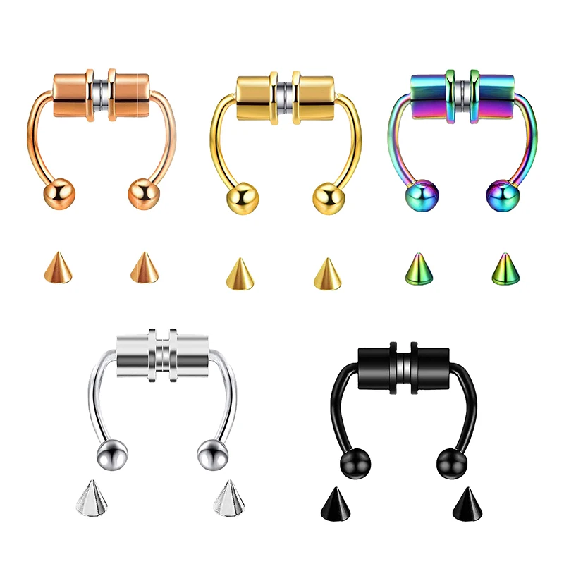 Поддельное кольцо для пирсинга – обзор и цена Body Jewelry Hoops